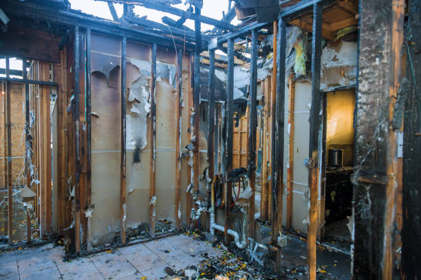 Professional Fire Damage Removal technician working in Manvel, TX